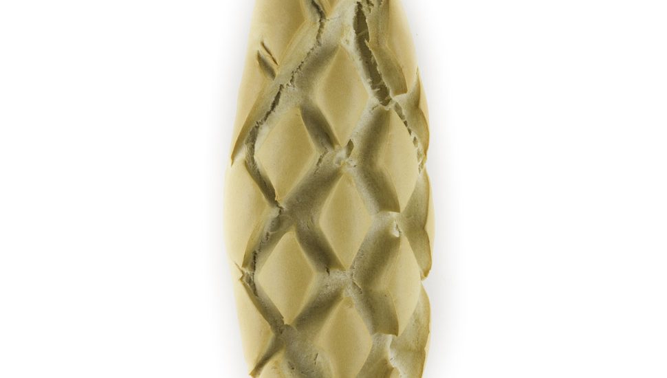 pan de piña