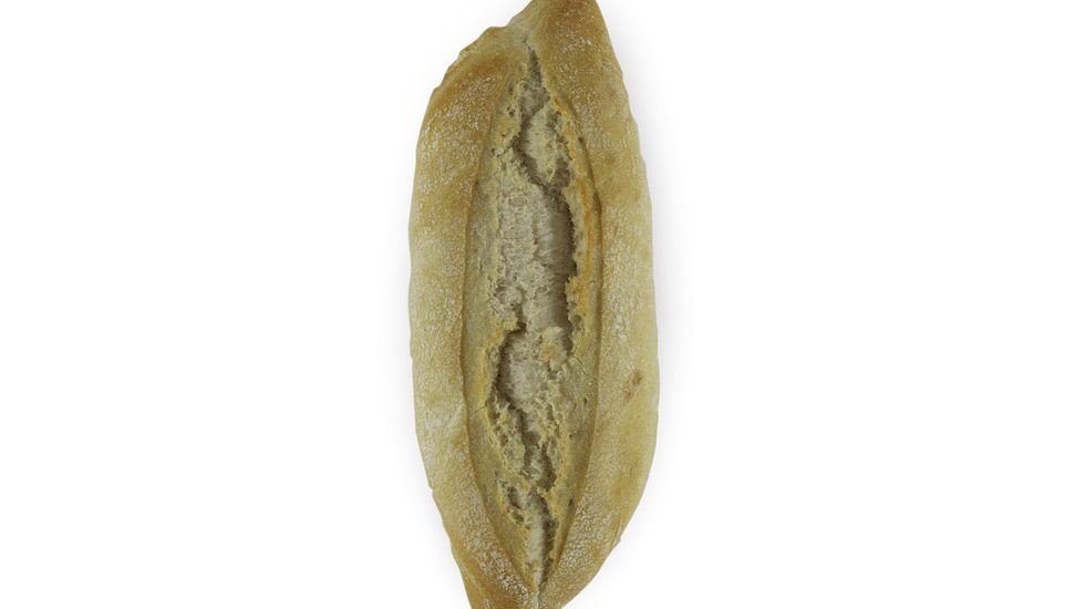 payesita