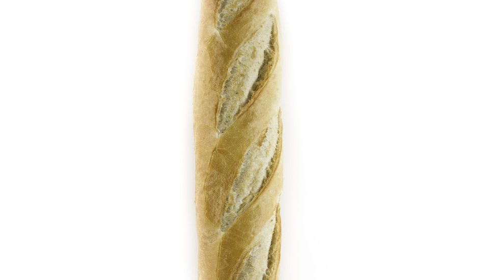 italicas